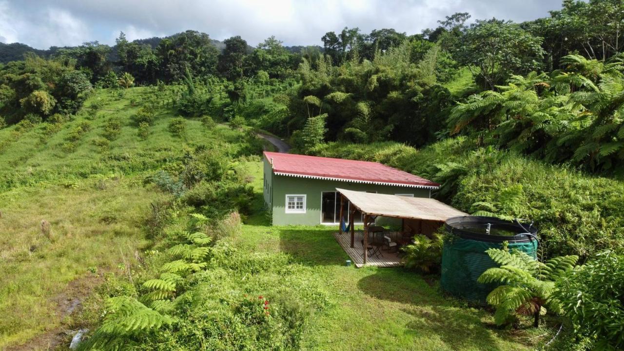 Chambre Et Sdb Privative Ylang Ylang Vue Mont Pelee Dans Maison Partagee Le Morne-Rouge Exterior foto
